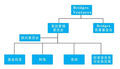慈善與金融的交匯點 解碼Bridges Ventures的使命驅動型投資管理