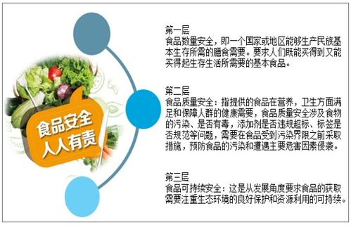 2021-2027年中國食品安全產業發展動態及投資戰略規劃深度分析報告